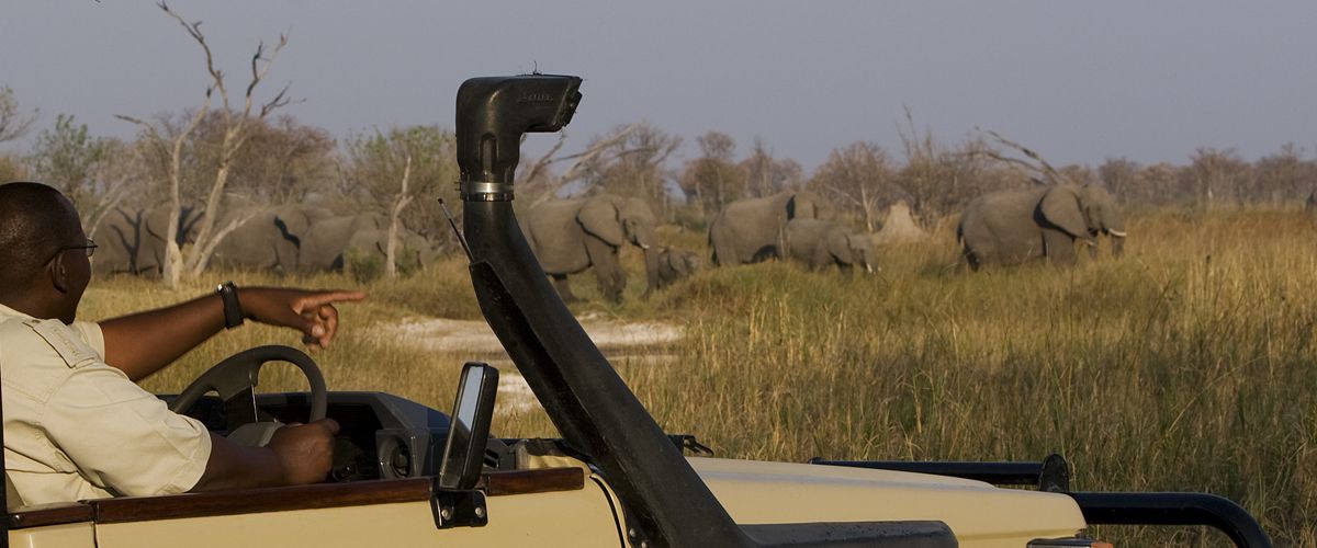 Six Night Botswana Safari